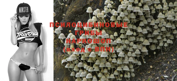 не бодяженный Абаза